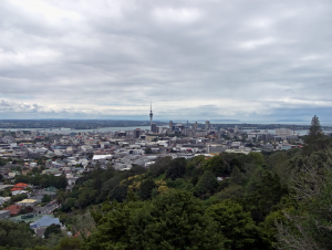 Auckland from Mt Eden