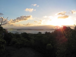 Auckland Sunset