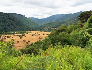 Otaki Forks, Arcus Loop track
