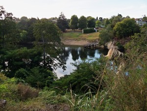 Waikato River, Hamilton in the morning