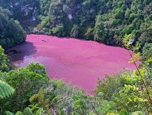 Waimangu Emerald Lake