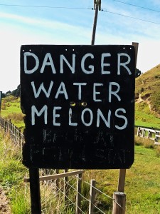 Danger Watermelons