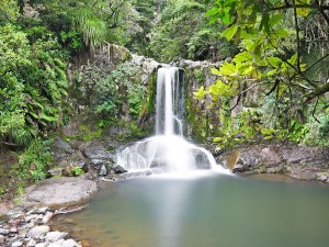 Waiau Falls