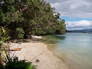 Whitianga Ferry Landing