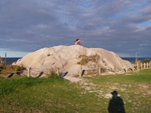 Mangawhai two friends