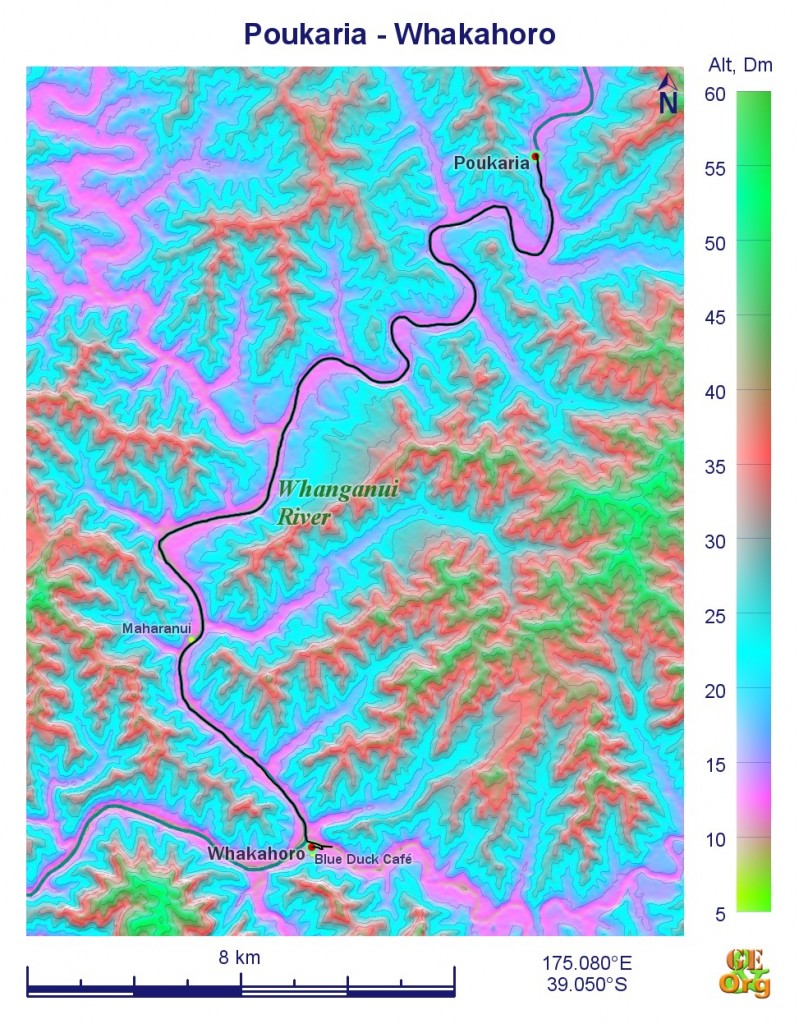 Poukaria - Whakahoro
