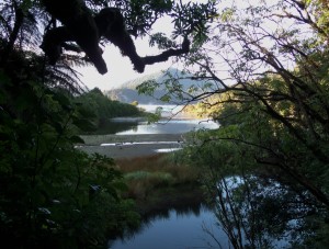 Waikaremoana Darla PF