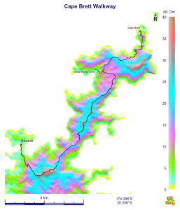 Narrow and winding path