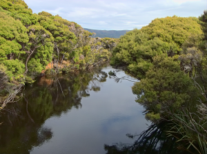 Down the Freshwater River